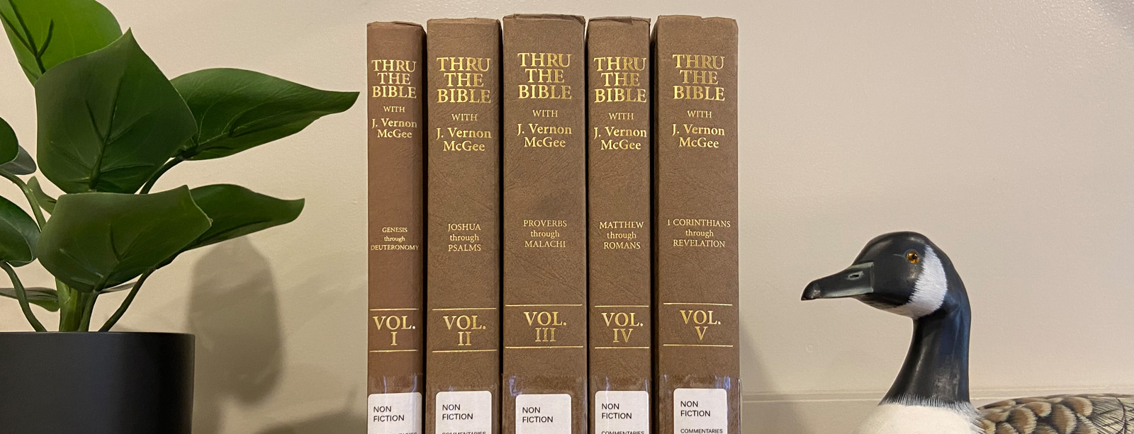 Through the Bible